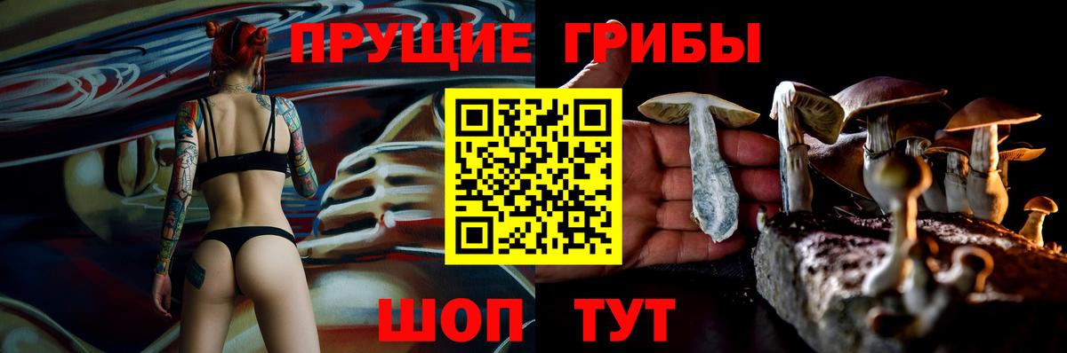 Кириши  что такое наркотик  Вход с VPN  Галлюциногенные грибы GOLDEN TEACHER 